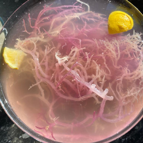 4 EASY STEP ON HOW TO PREPARE SEA MOSS