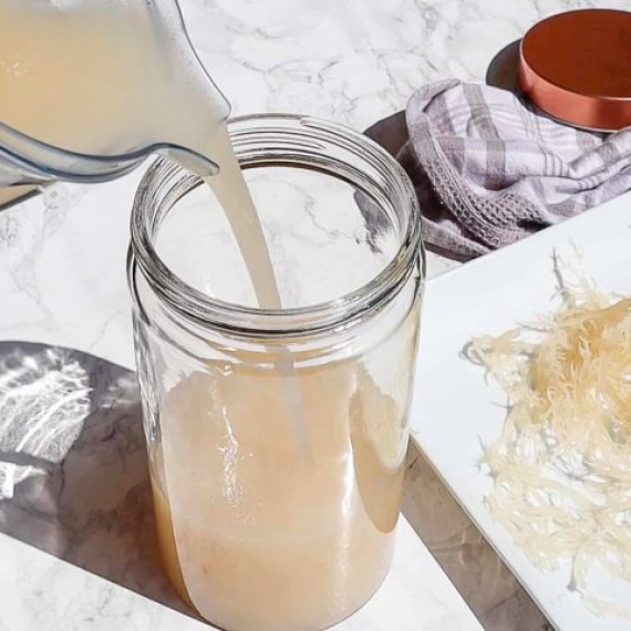 EASIEST WAY TO PREPARE SEA MOSS GEL