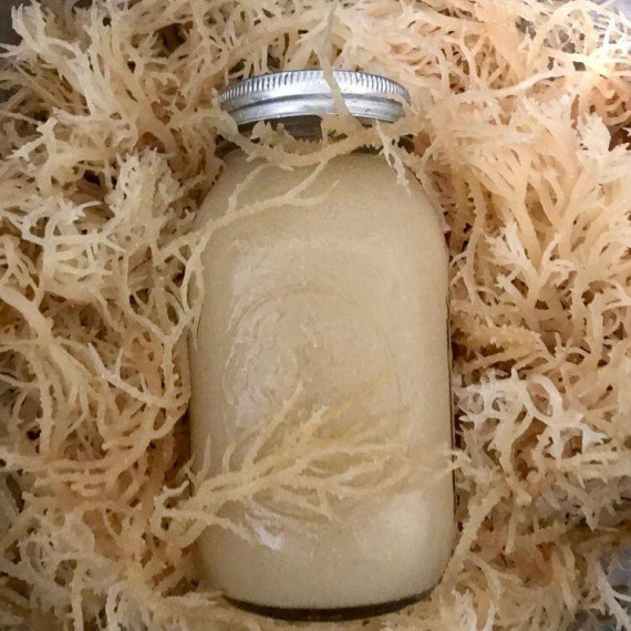 QUESTIONS MOST PEOLE ASK ABOUT SEA MOSS ANSWERED