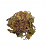 Raw Sea Moss 100g