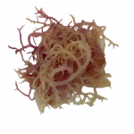 Raw Sea Moss 500g