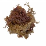 Raw Sea Moss 500g