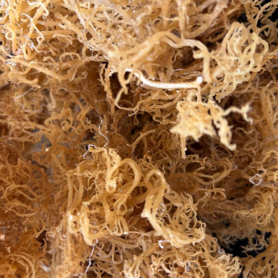 https://asiliseamoss.com/products/raw-sea-moss